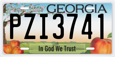 GA license plate PZI3741
