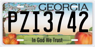GA license plate PZI3742
