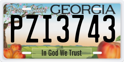 GA license plate PZI3743