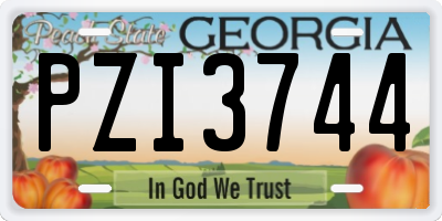 GA license plate PZI3744