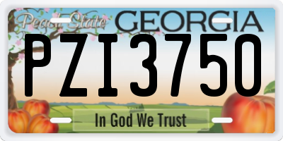 GA license plate PZI3750