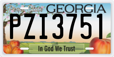 GA license plate PZI3751