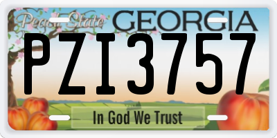 GA license plate PZI3757