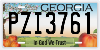 GA license plate PZI3761