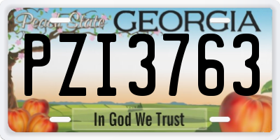 GA license plate PZI3763
