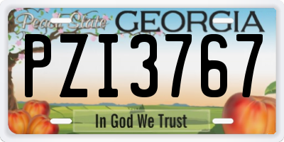 GA license plate PZI3767