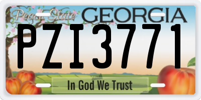 GA license plate PZI3771