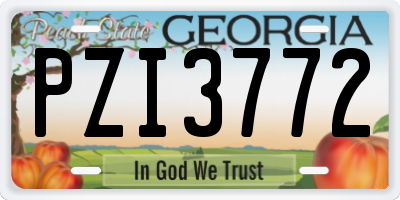 GA license plate PZI3772
