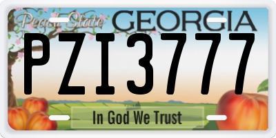GA license plate PZI3777
