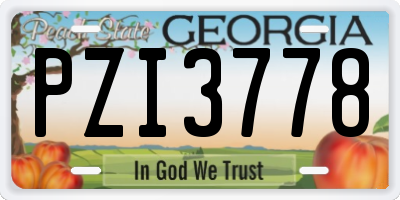 GA license plate PZI3778