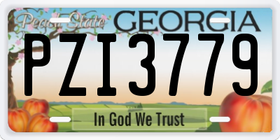 GA license plate PZI3779