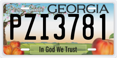 GA license plate PZI3781
