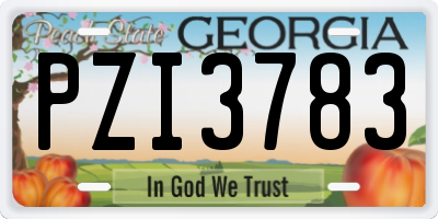 GA license plate PZI3783