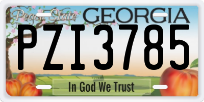 GA license plate PZI3785