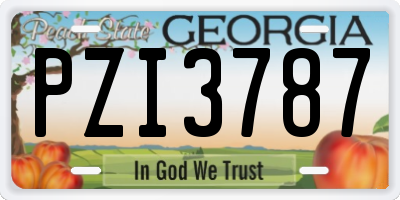 GA license plate PZI3787
