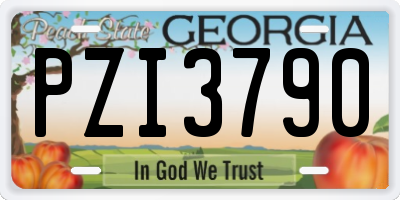 GA license plate PZI3790