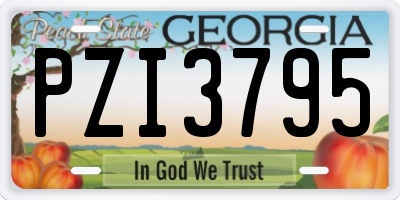GA license plate PZI3795