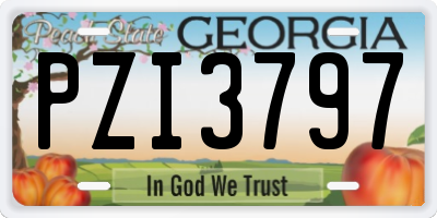 GA license plate PZI3797