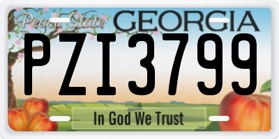 GA license plate PZI3799
