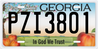 GA license plate PZI3801