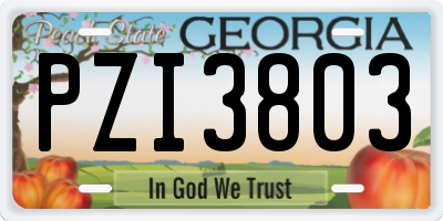 GA license plate PZI3803