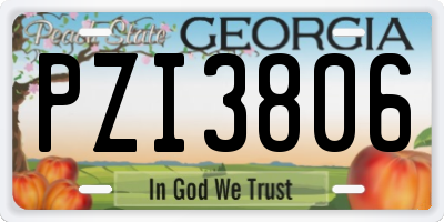 GA license plate PZI3806