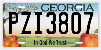 GA license plate PZI3807