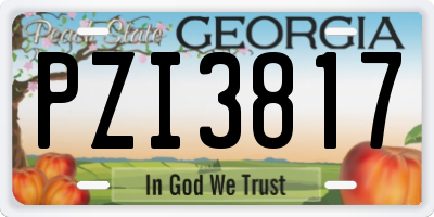 GA license plate PZI3817