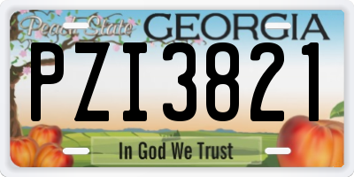 GA license plate PZI3821