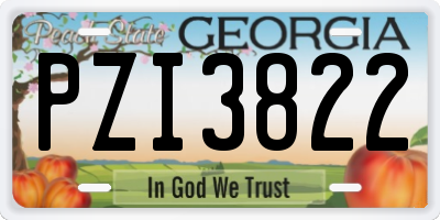 GA license plate PZI3822