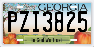 GA license plate PZI3825