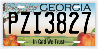 GA license plate PZI3827