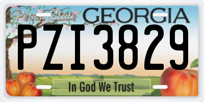 GA license plate PZI3829