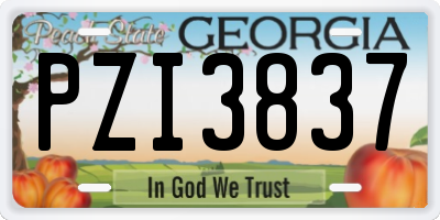 GA license plate PZI3837
