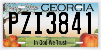 GA license plate PZI3841