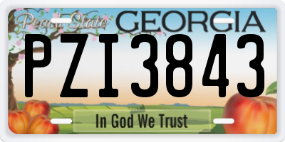 GA license plate PZI3843