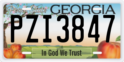 GA license plate PZI3847
