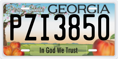 GA license plate PZI3850
