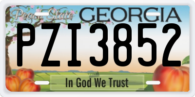 GA license plate PZI3852