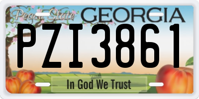GA license plate PZI3861