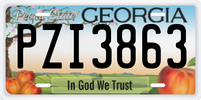 GA license plate PZI3863