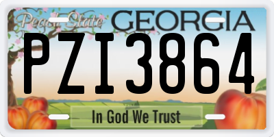 GA license plate PZI3864