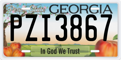 GA license plate PZI3867