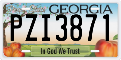 GA license plate PZI3871