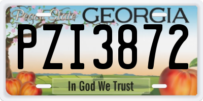 GA license plate PZI3872