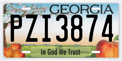 GA license plate PZI3874