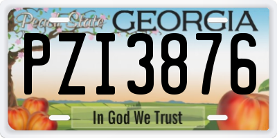 GA license plate PZI3876