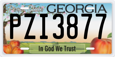 GA license plate PZI3877