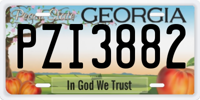 GA license plate PZI3882