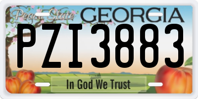 GA license plate PZI3883